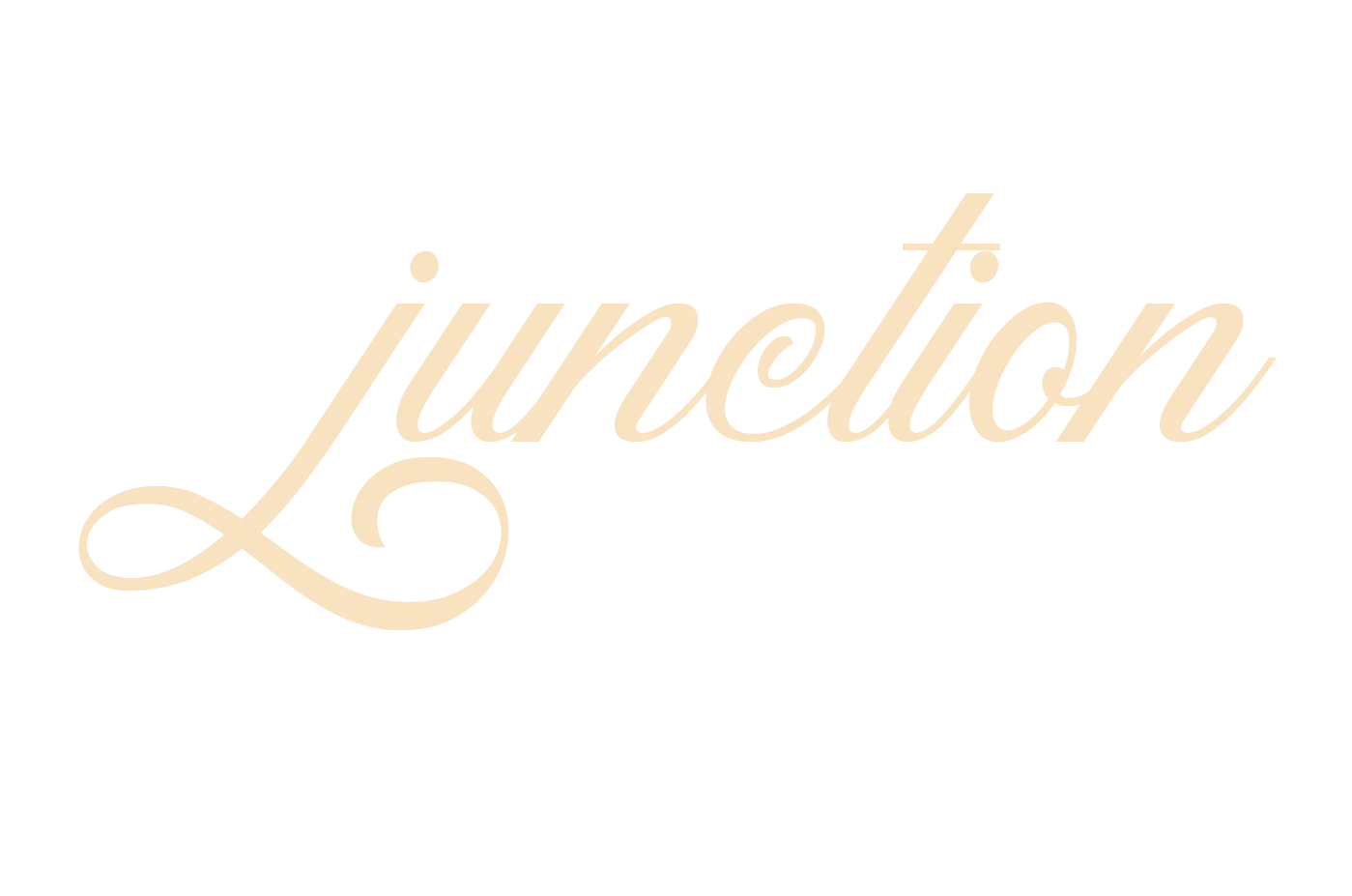 JunctionJNCT
